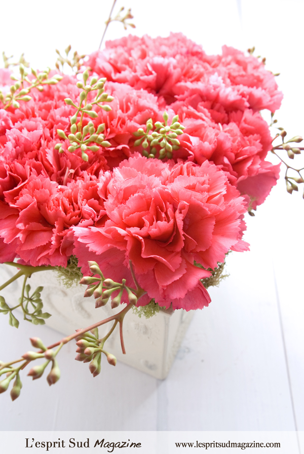 A pink carnations heart for Valentine's Day