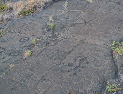 Hawaii - Petroglyphs