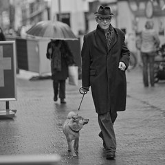 One Man & His Dog