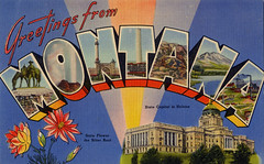 Montana Large Letter Postcards