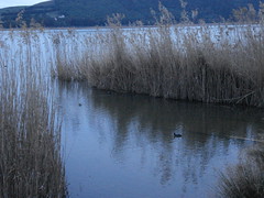 Lago di Pergusa