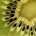 Kiwi fruit backlit