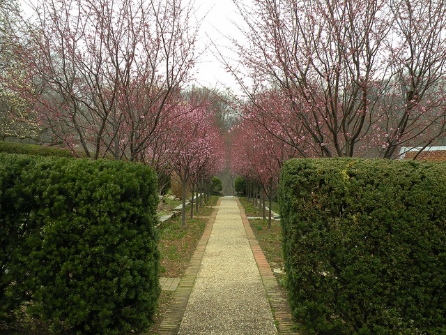 Dumbarton Oaks Path