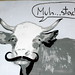 cow with mustache