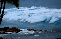 SURF, WAVES, BEACHES