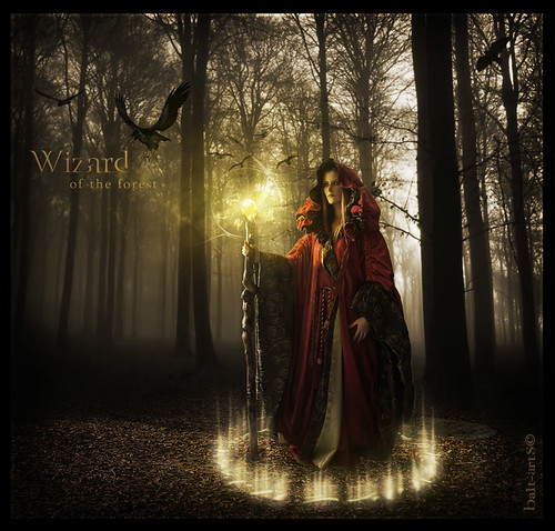 Blend - Wizard of the Forest - versión 1