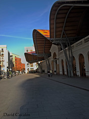 Mercat de Santa Caterina (Barcelona)