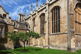 Newton's Apple Tree, Trinity College, Cambridge