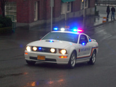 Ford Mustang (AJM NWPD)