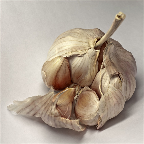Lovely Garlic