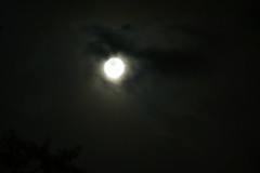 2010 春 陽台拍月亮