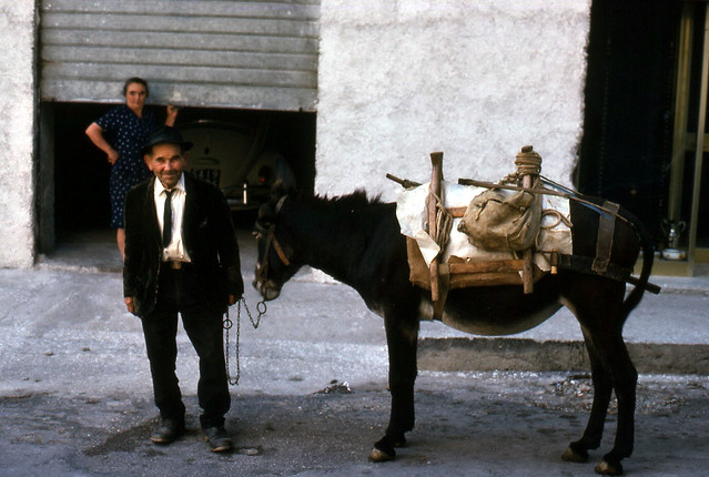 man-mule SANZA, Italy-1974 | Flickr - Photo Sharing!