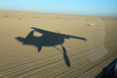 Namib dunes flight