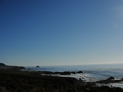 Monterey Trip