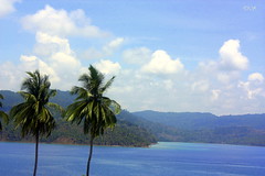 Sea View In Andaman
