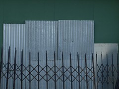 Exhibition: Fences