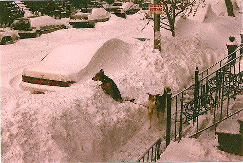 Em Blizzard of 96