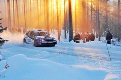 Rally sweden 2010