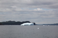 2017 Iceberg
