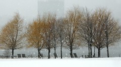 NYC Snow Storm 2/10