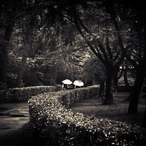 Black & White / Japan / Umbrella
