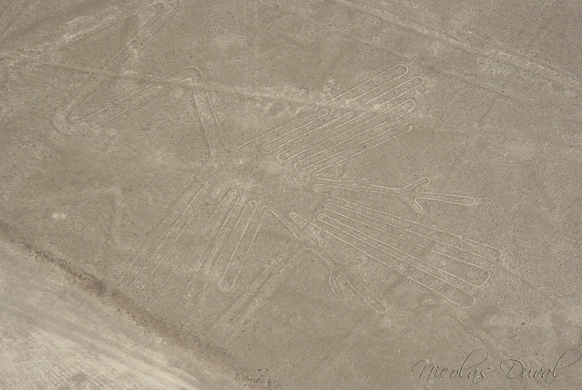 Nazca Lines, Bird Geoglyph, Peru