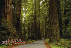 postcards - Northern California