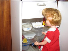 Penny in the fridge