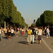 Champs-Elysées WithOut Cars