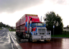 SS-Pakenham Trucking