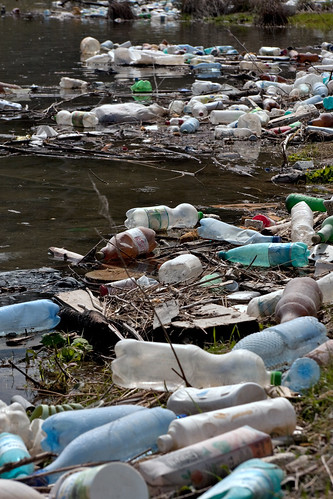 Plastic bottles and garbage on the bank of a river