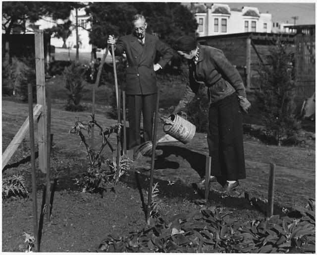 Frequent Watering of the Victory Garden Is Necessary During the Early Stages of Growth. ca. 02/1943
