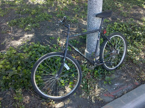 Looks a lot like my old college bike...
