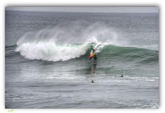 Surfing Santa Cruz