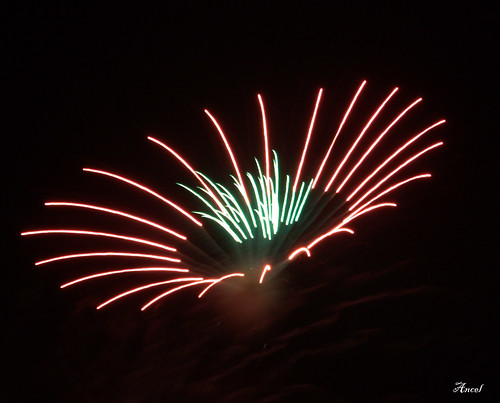 Ayala Grand Fireworks Display, Sinulog 2010