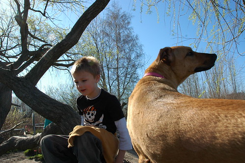 Pirate boy with Rosie, Magnuson Dog Park, Seattle, Washington, USA by Wonderlane