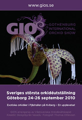 GIOS - Gothenburg International Orchid Show 2010