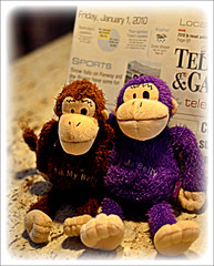 52 Weeks of Purple Monkey