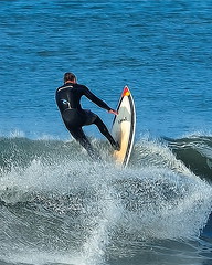 Surfing 2010