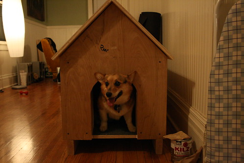 dog house design