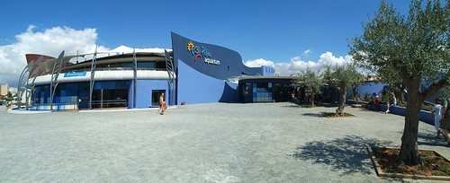 palma aquarium (4)
