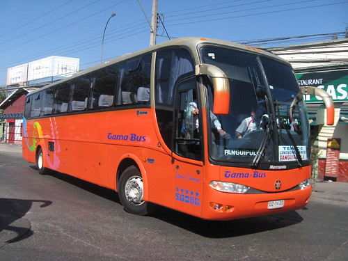 Gama Bus | Novedad.-