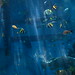 Nagoya aquarium