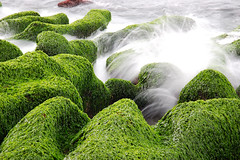 北海岸-綠色礁岩