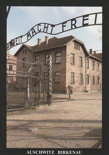 Auschwitz Birkenau  German Nazi Concentration and Extermination Camp (1940-1945) (1979)
