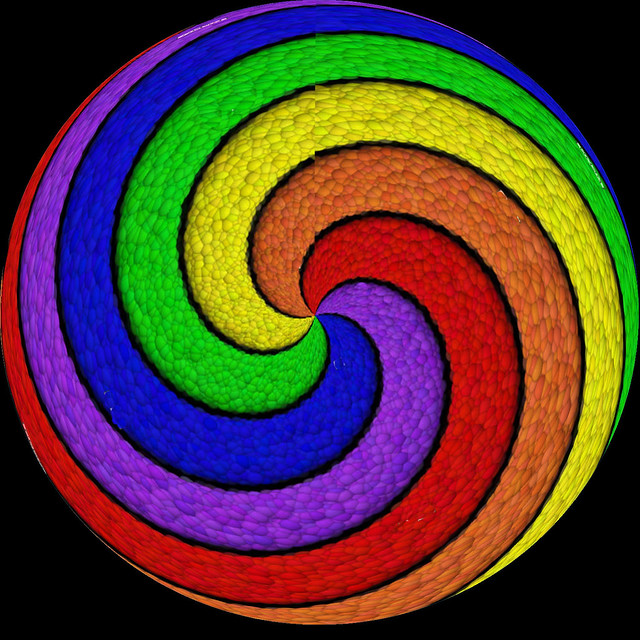 Nopen spirale
