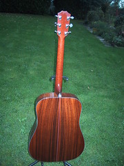 Taylor 710 Guitar