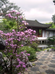 100 Visions:  Dr Sun Yat-Sen Classical Chinese Garden