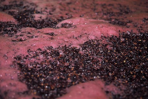 Yeast is the secret to making wine. Without it alcoholic fermentation wouldn't be possible.