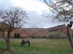 Ghost Ranch & Abiquiu